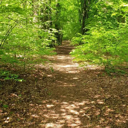 De Kleine Kriemelkuil - Het Vosje