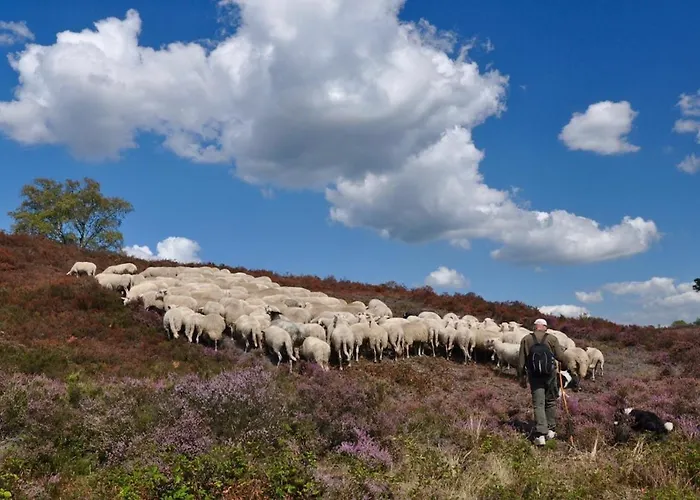 Domek alpejski De Kleine Kriemelkuil - Het Vosje *