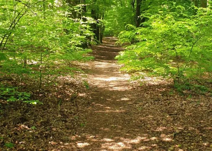 De Kleine Kriemelkuil - Het Vosje